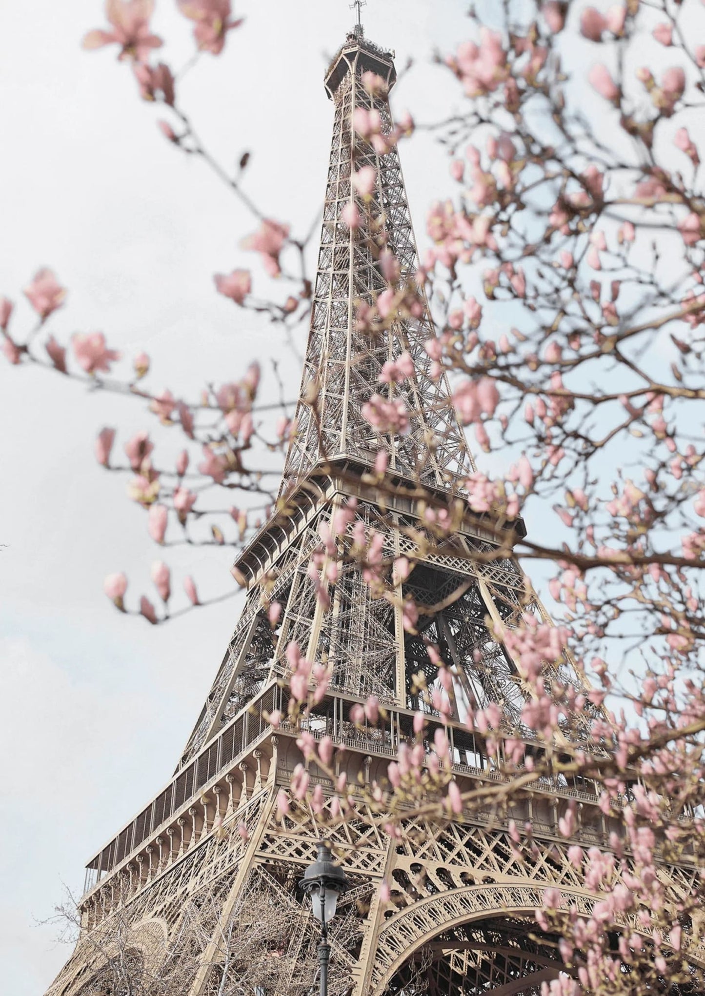 Eiffel Tower with Flowers | Artistic Decor