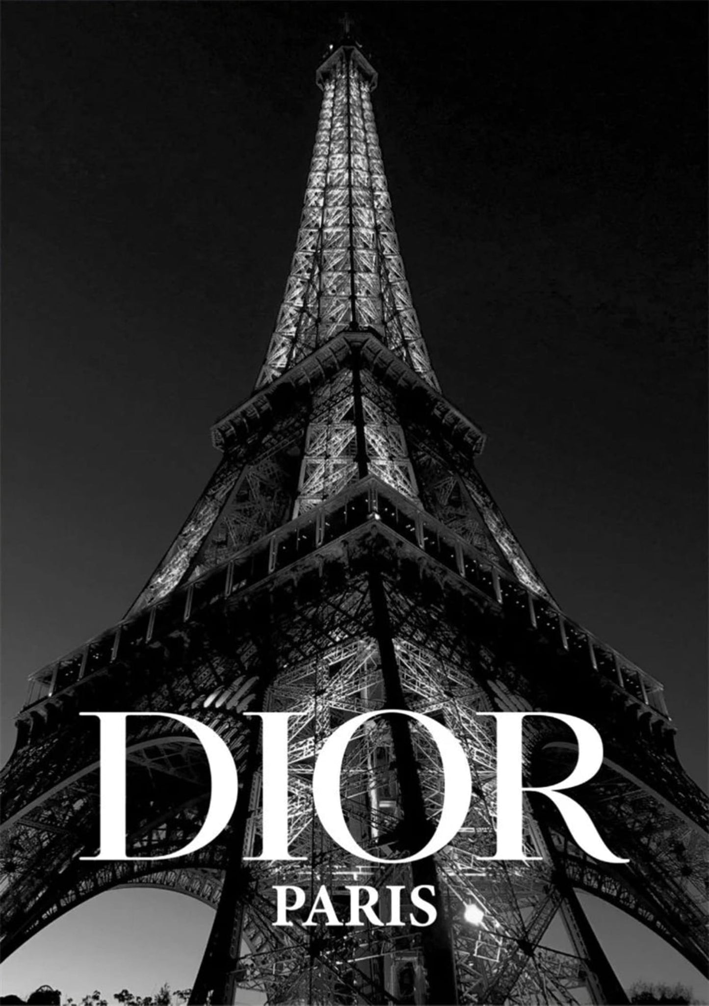 Dior | Paris High Fashion