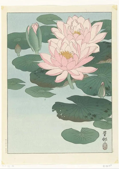 Ohara Koson | Lotus Blossoms | Ukiyo-e Art